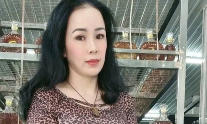 Xét xử bị cáo Đinh Thị Lan xúc phạm vợ chồng bà Nguyễn Phương Hằng