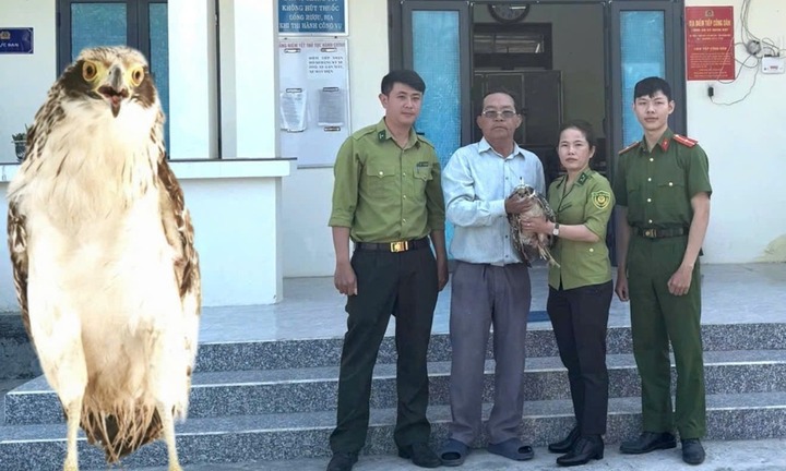 Phát hiện cá thể chim hoang dã, là khắc tinh của rắn, người dân giao nộp cơ quan chức năng
