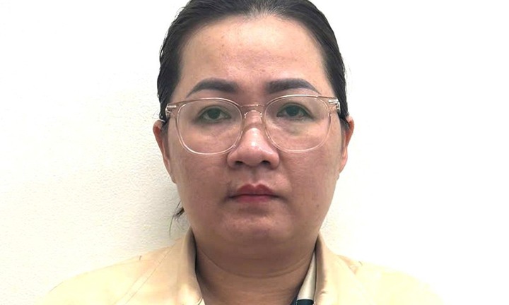 Bắt giữ  Nguyễn Thụy Saly 