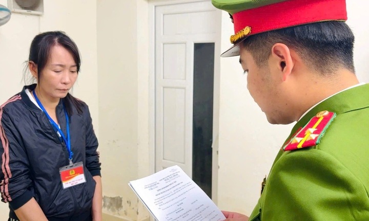 Cung cấp thực phẩm trôi nổi cho các trường học, nữ giám đốc bị khởi tố 