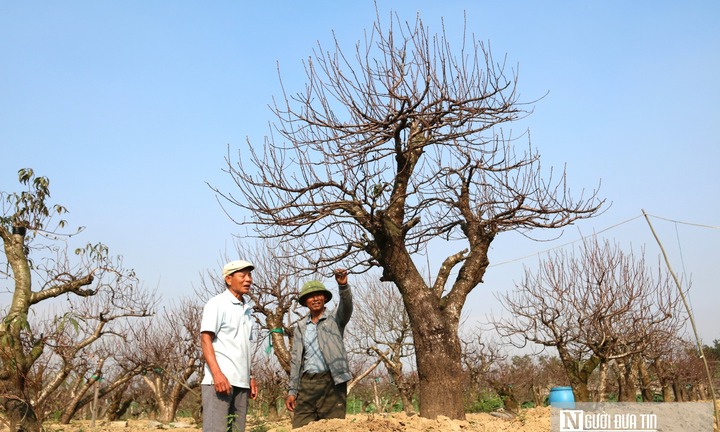Anh nông dân Nghệ An 