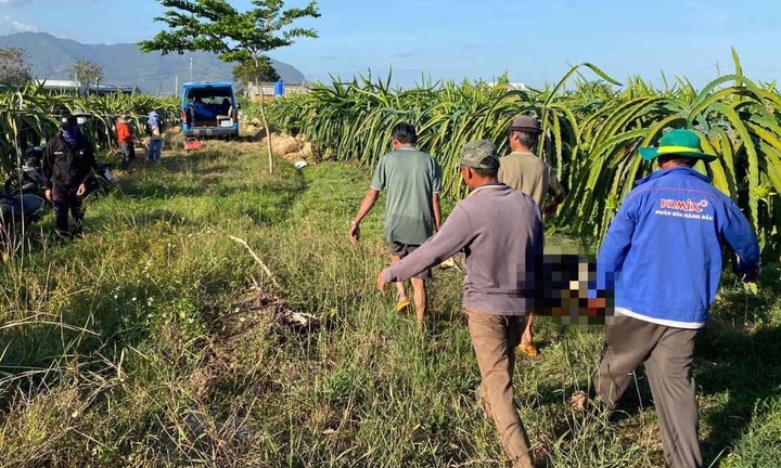 Người đàn ông tử vong trong vườn thanh long ở Lâm Đồng