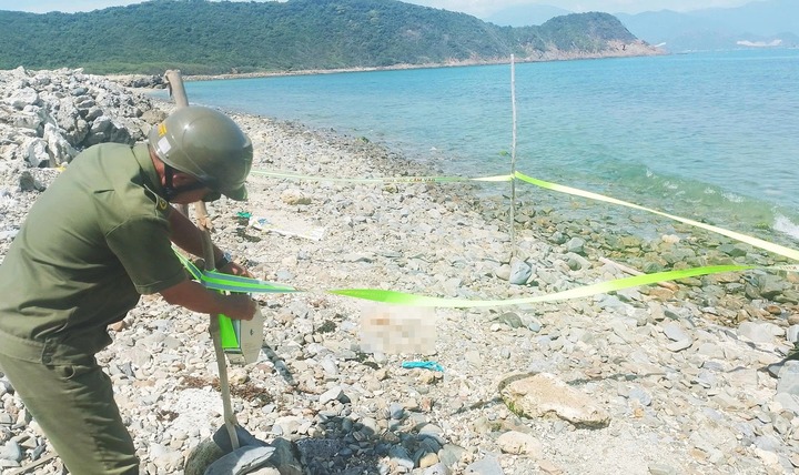 Điều tra vụ một đoạn chân người có vết sẹo dài trôi dạt vào bờ biển ở Khánh Hòa