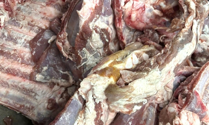 Sự thật hình ảnh 