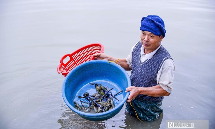 Nuôi con vật 