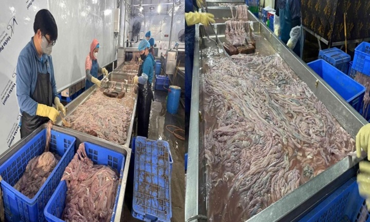 Bên trong kho lạnh chứa gần 60 tấn lòng lợn bốc mùi, đổi màu ở Hà Nội