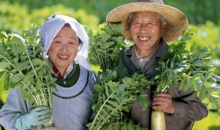 Vì sao người Nhật thường có tuổi thọ cao?