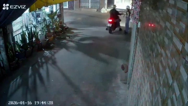Xử phạt nam thanh niên che biển số, sàm sỡ cô gái ở TP.HCM