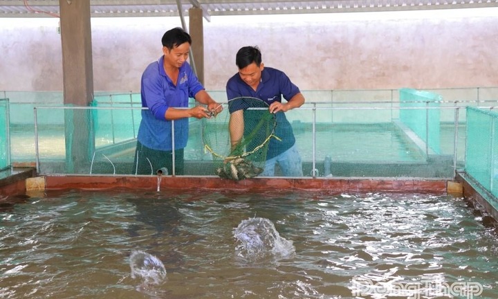 Bỏ phố về xây 