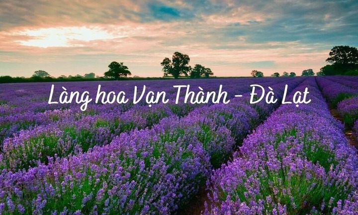 Làng hoa Vạn Thành Đà Lạt