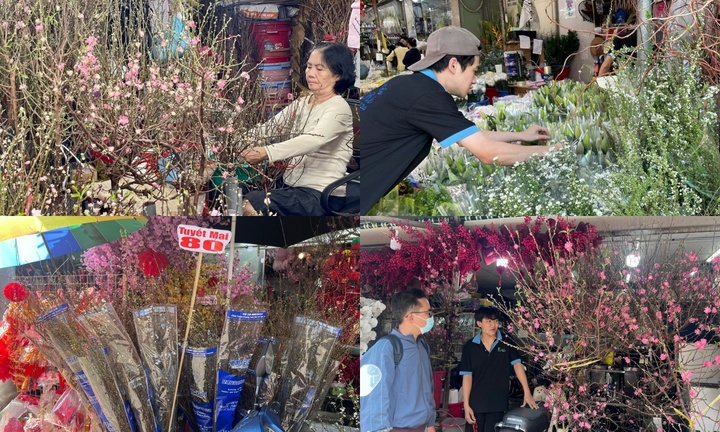 Đào, tuyết mai 