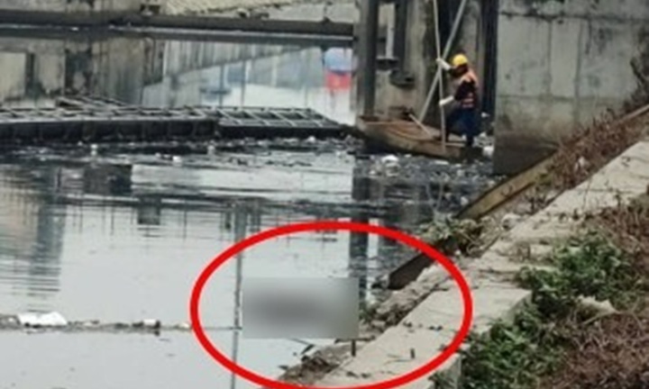 Xác minh danh tính thi thể nam giới nổi trên sông Tô Lịch, Hà Nội