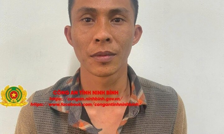 Ninh Bình: Bắt đối tượng giả danh chủ vườn cây cảnh, lừa đảo hơn 1,1 tỷ đồng