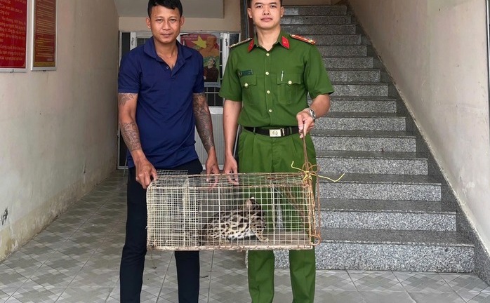 Tin tức thời sự 24h: Người dân giao nộp con vật quý hiếm
