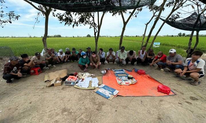 Triệt xóa tụ điểm đá gà, lắc bầu cua ăn tiền ngày mùng 2 Tết