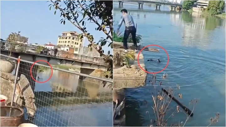 Cãi nhau trên cầu, người đàn ông làm hành động khiến cả mạng xã hội phẫn nộ