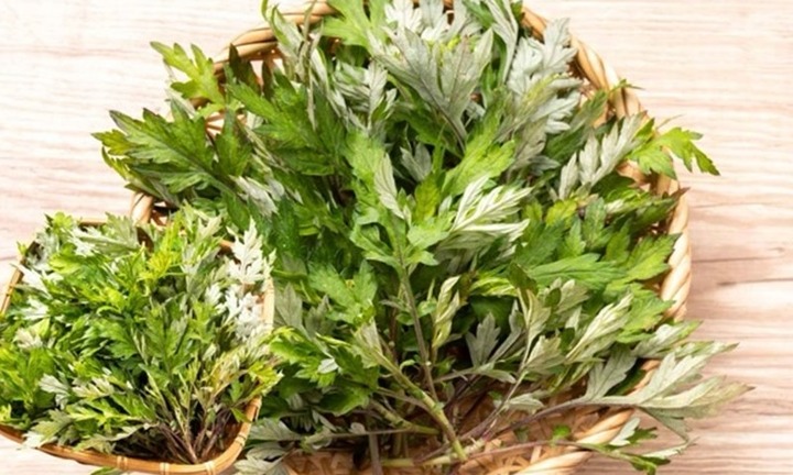 Cách chế biến rau ngải cứu giúp trị bệnh, khắc phục đau đầu, trị bệnh xương khớp