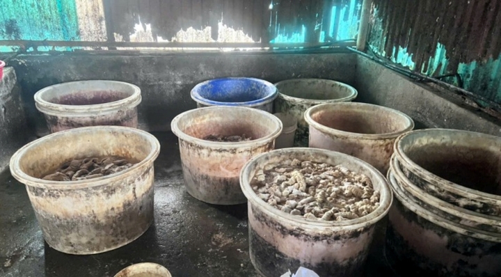 Phát hiện hơn 55 tấn lòng, dạ dày và chân gà không rõ nguồn gốc trong kho một doanh nghiệp ở Hải Phòng