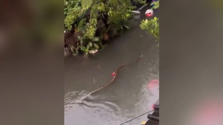 Sau trận mưa lớn, người dân Bali 