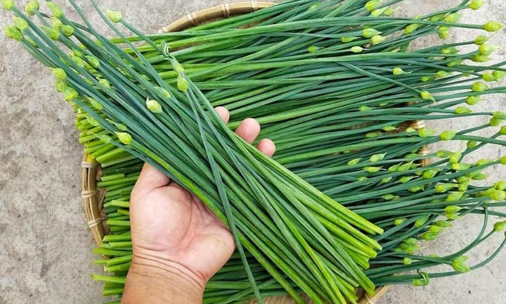 Top những loại rau củ giúp thải độc gan cực tốt