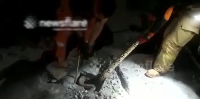 Clip: Cận cảnh bắt con trăn