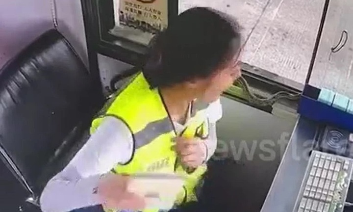 Rắn lục bò vào trạm thu phí, vây sát nữ nhân viên, camera ghi lại cảnh thót tim