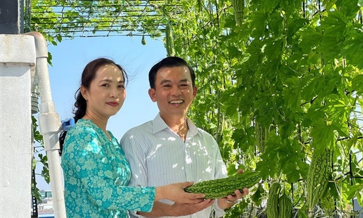 Người đàn ông TP.HCM biến sân thượng thành 