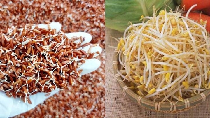 Loại thực phẩm mọc mầm, không những không độc, mà còn có trị dinh dưỡng