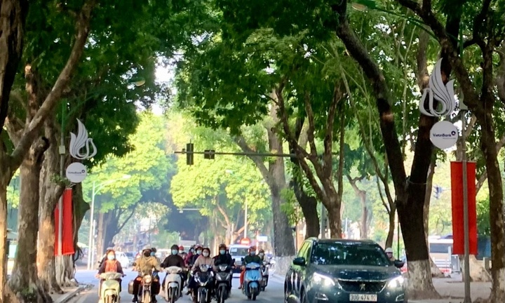 Tin tức dự báo thời tiết hôm nay 20/3: Bắc Bộ sương mù, trưa chiều hửng nắng
