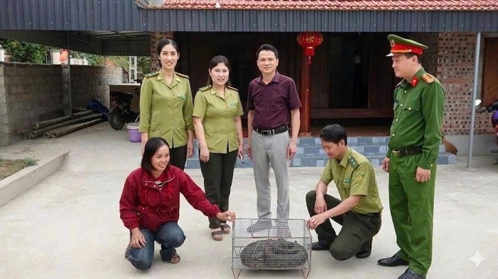Trăn đất quý hiếm lạc vào vườn nhà, người dân ngay lập tức báo chính quyền