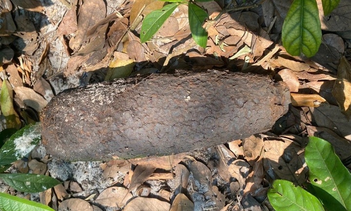 Người dân Huế liên tiếp phát hiện 2 quả đạn pháo trong lúc đi làm đồng