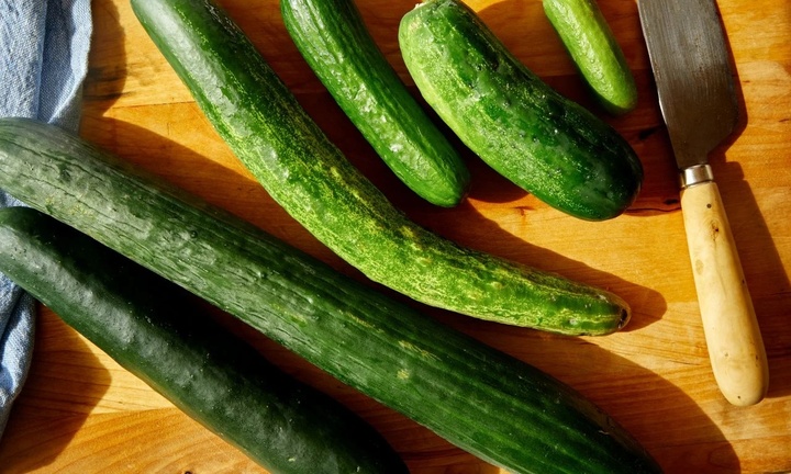 Người bệnh thận có nên ăn dưa chuột?