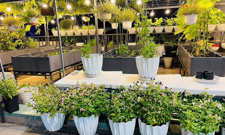 Ngắm khu vườn sân thượng 100m2 