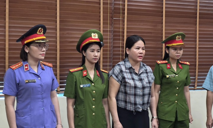 Lừa đảo hàng trăm triệu đồng, người phụ nữ 48 tuổi bị khởi tố, bắt tạm giam