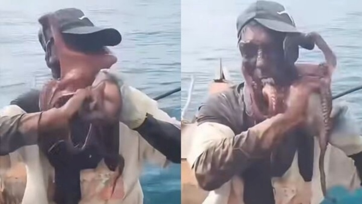 Kinh hoàng khoảnh khắc bạch tuộc khổng lồ 