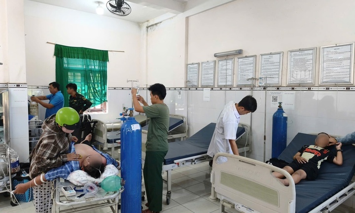 Bị ong đốt khi đi tảo mộ, 3 người nhập viện khẩn cấp, 1 người nguy kịch