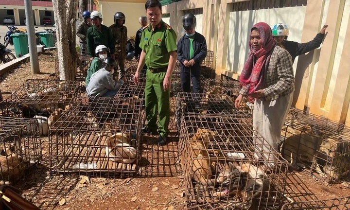 Triệt phá đường dây trộm chó quy mô lớn ở Đắk Lắk: Lộ diện sào huyệt vừa là nơi giết mổ, vừa là điểm tiêu thụ