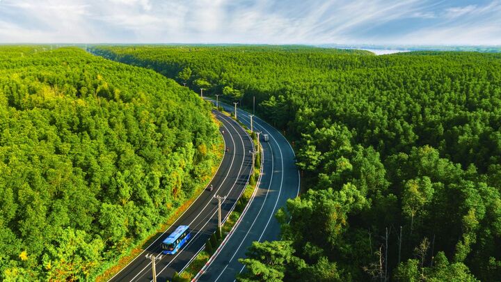 Chuỗi sự kiện nối dài từ Xuân sang Hè: Cần Giờ tăng nhiệt, hình thành “thủ phủ lễ hội 365 ngày”