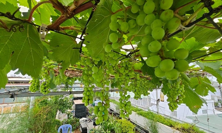 Cận cảnh 