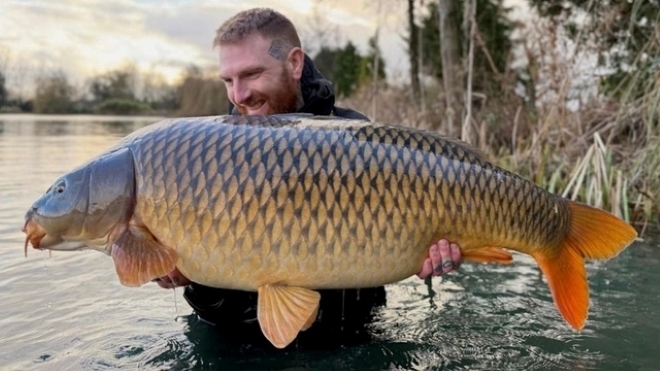 Clip: Cần thủ câu được con cá chép khổng lồ nặng gần 29kg