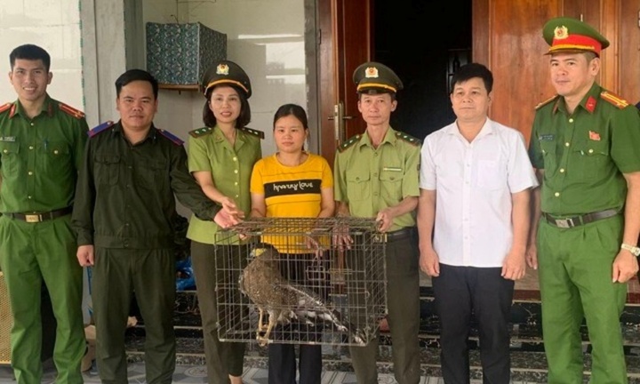 Phát hiện động vật quý hiếm gần khu dân cư, người dân liền giao nộp cho lực lượng chức năng