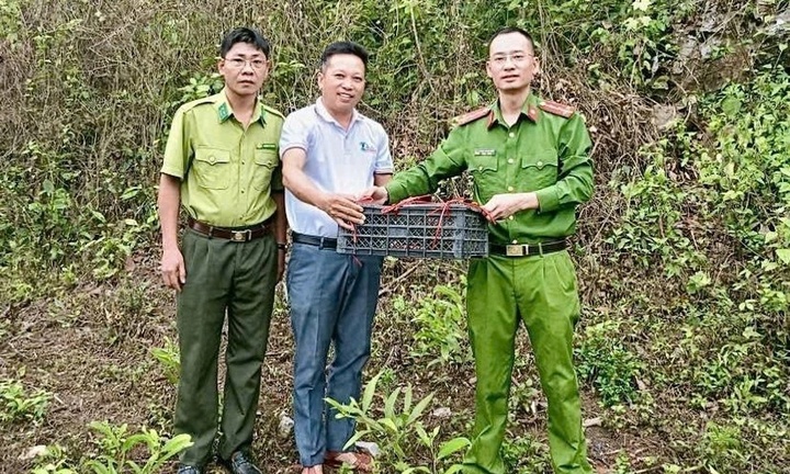 Phát hiện con vật mắt to tròn ngơ ngác vào nhà, người dân báo ngay cho công an