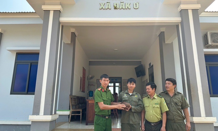 Phát hiện con vật quý hiếm, toàn thân phủ vảy cứng, người dân giao nộp công an