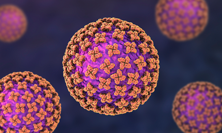 3 người tử vong trên du thuyền du lịch Đại Tây Dương, nghi do nhiễm Hantavirus