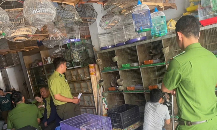 Tin pháp luật nổi bật 24h qua: 2 con rồng Nam Mỹ bị nuôi nhốt ở Quảng Ngãi