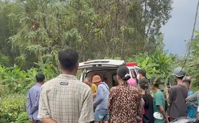 Thương tâm: Người đàn ông bị sét đánh tử vong khi cưa cây thuê 