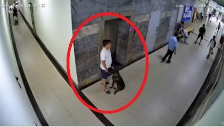 Vụ clip thành viên ban quản trị chung cư bị hành hung, nghi do nhắc đeo rọ mõm cho chó: Công an vào cuộc xác minh