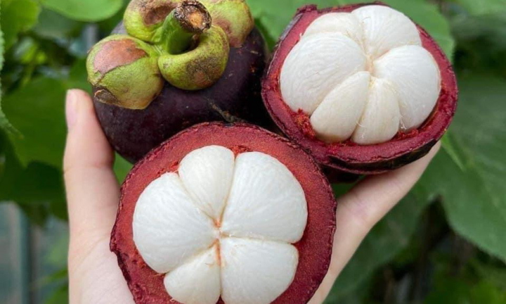 Loại quả được ví như
