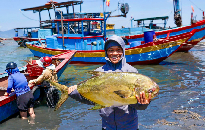 Ngư dân trúng đậm một tấn cá nhóm 