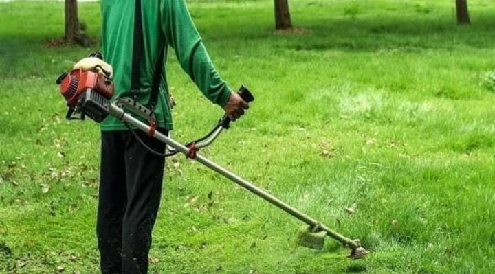 Máy cày, máy phát điện, máy cắt cỏ... có dùng xăng E10 được không?